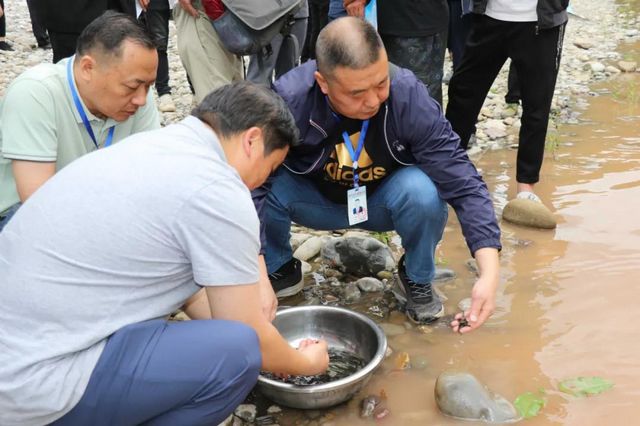 古蔺非法捕捞者被判放生鱼苗“补河”……