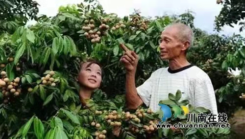 第十届泸县潮河金秋龙眼节明天隆重开幕