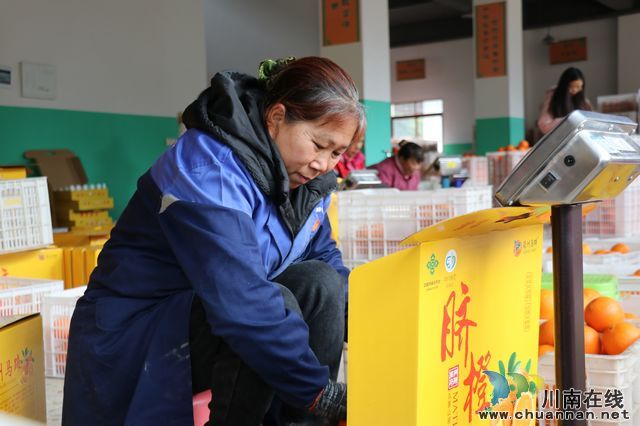 深化东西部产销对接  古蔺农特产品热销青田(图7)
