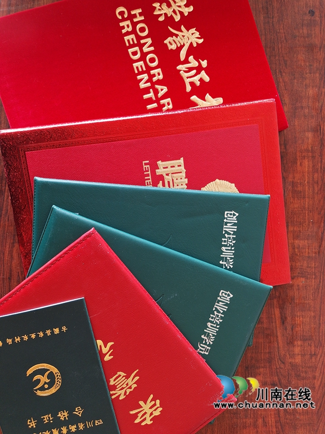 古蔺县观文镇：“土专家”培育“金伞伞”，乡贤人士助力产业发展(图2)
