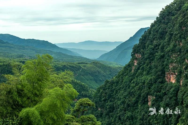 康养竹乡·画稿叙永┃2022，邀您共赏叙永十大美景(图4)