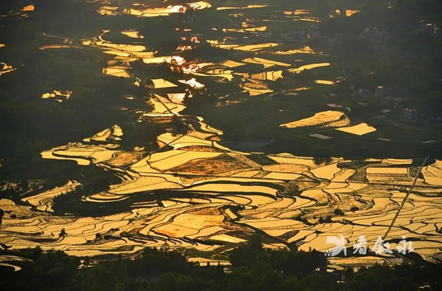 康养竹乡·画稿叙永┃2022，邀您共赏叙永十大美景(图7)