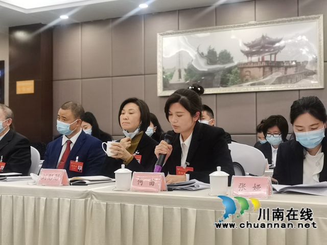 泸州盟员何苗在市“两会”上发言：建立中国驼峰航线博物馆(图1)