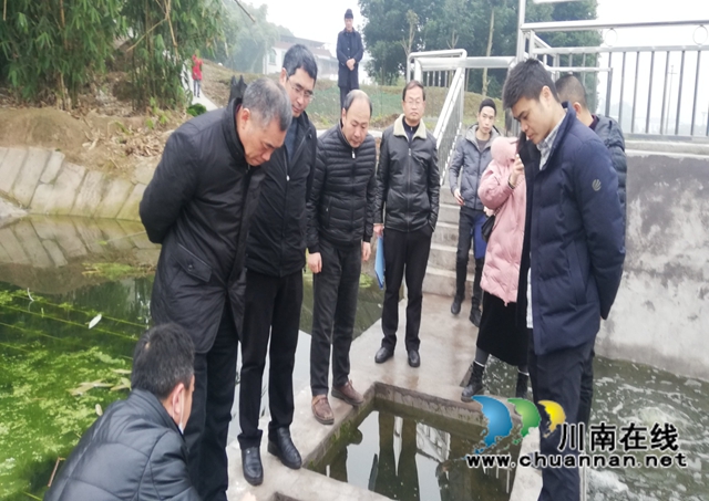 泸州市农业农村局到泸县云龙镇开展农业面源污染防治督导工作(图2) 泸州市农业农村局到泸县云龙镇开展农业面源污染防治督导工作(图2)