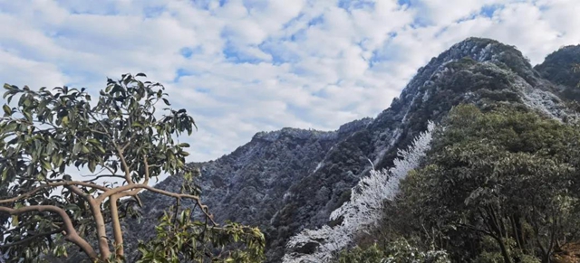 湖光山色、春花冬雪......山地康养旅居地，泸州给你安排上！(图20)