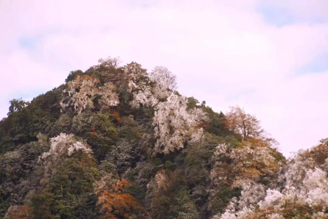 湖光山色、春花冬雪......山地康养旅居地，泸州给你安排上！(图22)