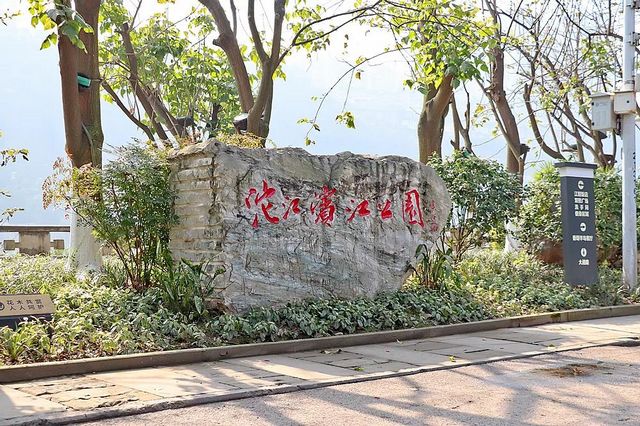 泸州：pong香！腊梅上线，寻香看这里(图21)