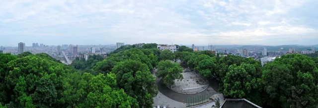 【关注】3年前确诊肺癌晚期，结果……(图3)