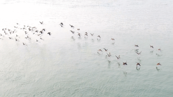 微信图片_20220115091413.gif