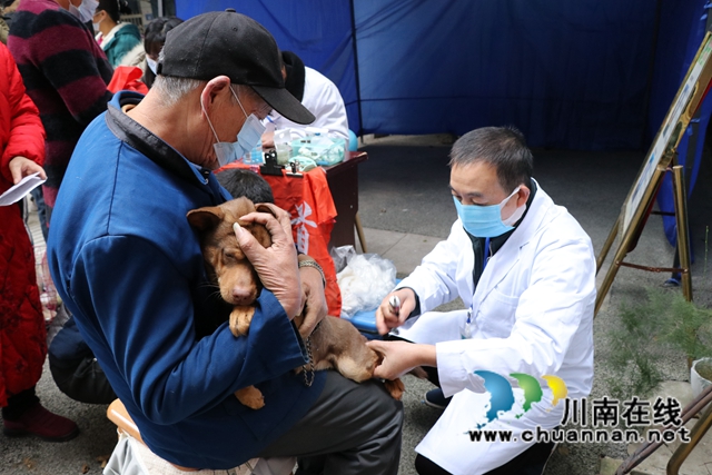 龙马潭区鱼塘街道：免费狂犬疫苗接种服务入社区(图2)