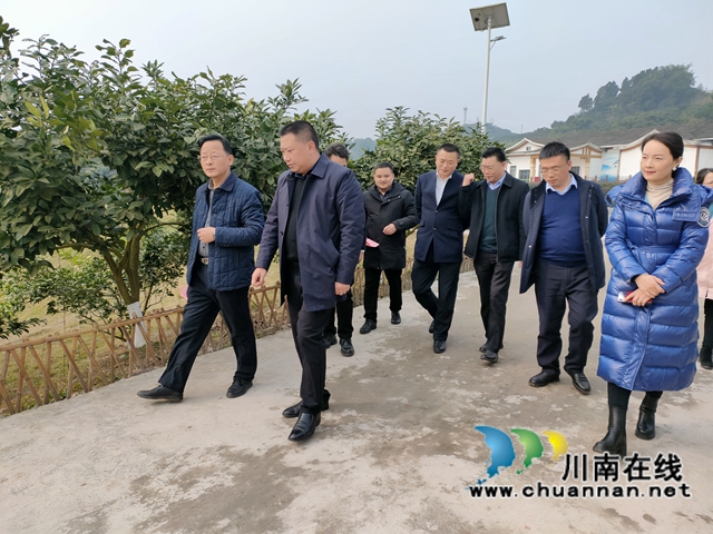 泸州市委统战部到合江调研统战工作(图2)