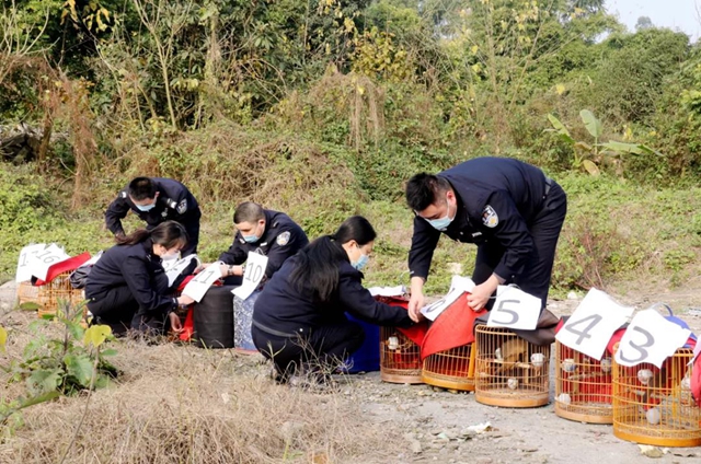 被解救放生！它们是国家二级重点保护野生动物(图5)