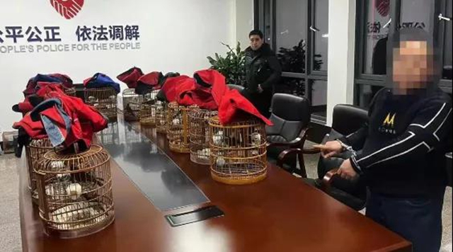 被解救放生！它们是国家二级重点保护野生动物(图3)
