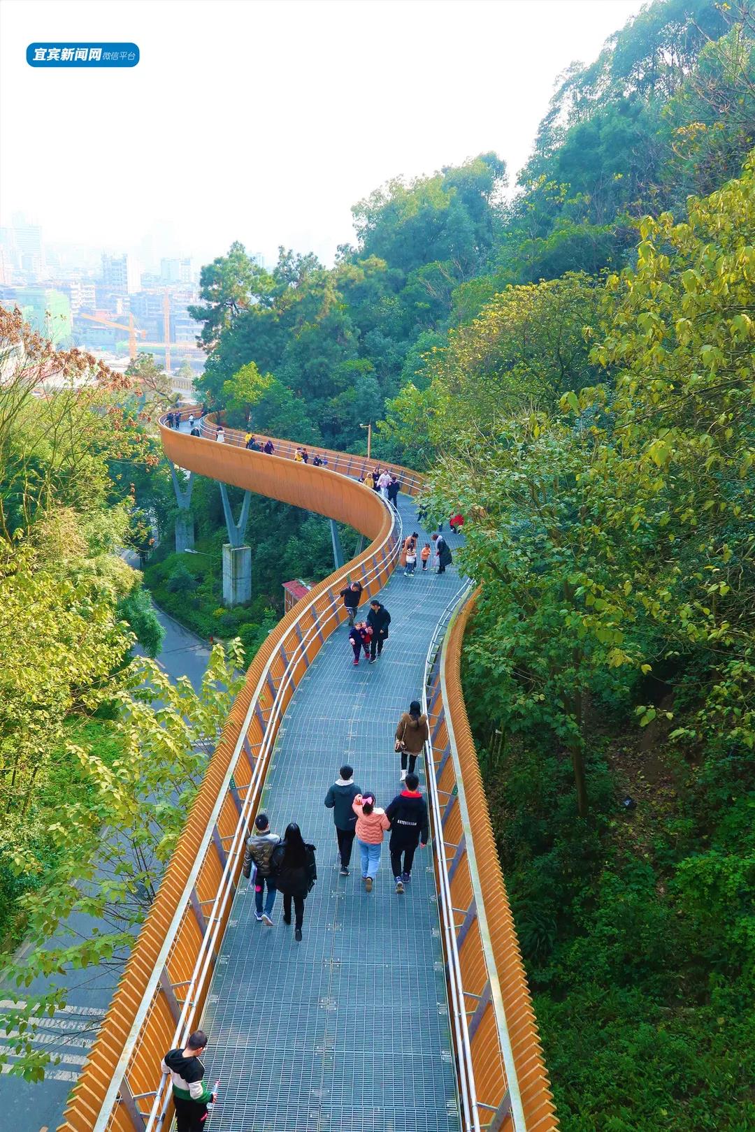 过年登高好去处！宜宾这几座山景色绝佳！(图4)