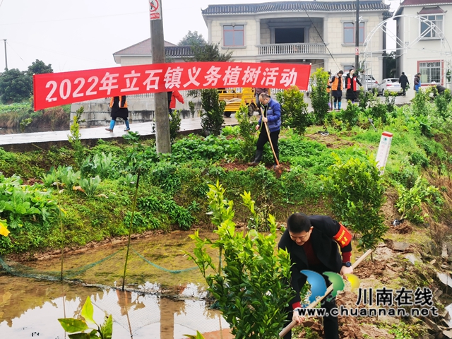 泸县立石镇开展2022年义务植树活动