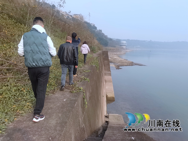 龙马潭：长江岸线修复，为长江生态环境保驾护航(图4)