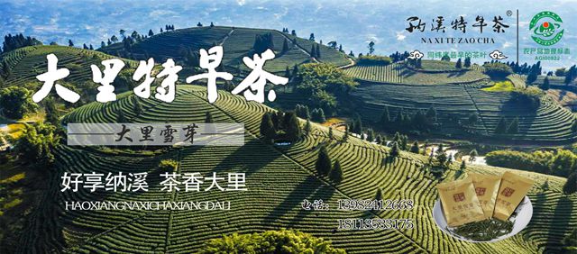 四川第九届茶叶开采活动周19日在纳溪启动(图1)