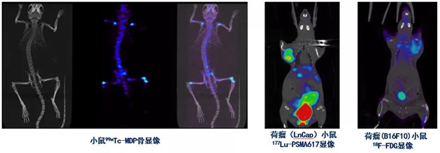 西南首台小动物SPECT/CT在西南医大附院投入使用(图2) 西南首台小动物SPECT/CT在西南医大附院投入使用(图2)