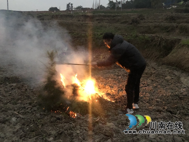 泸县云龙镇：持续开展全面巡查，筑牢秸秆禁烧屏障