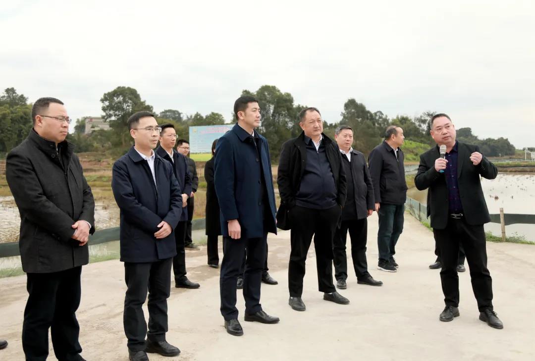 合江—泸县携手，协同做优“东翼”发展(图5)