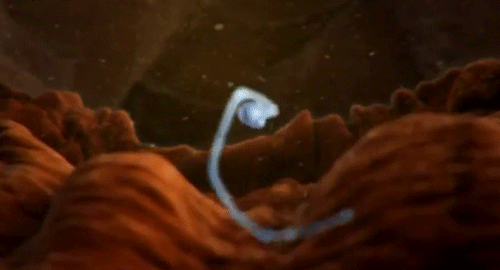 微信图片_20220219112558.gif