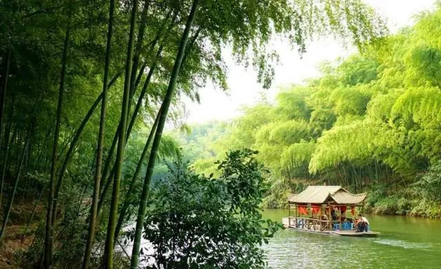 正是登山好时节丨一起出门，遇见春天(图5)