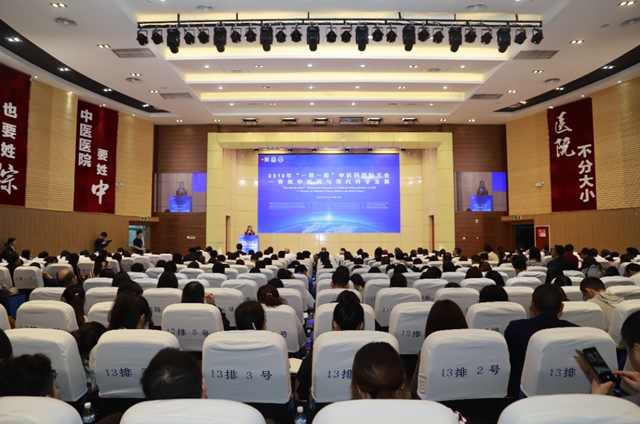 【关注】出发！又一中医师赴捷克(图19)