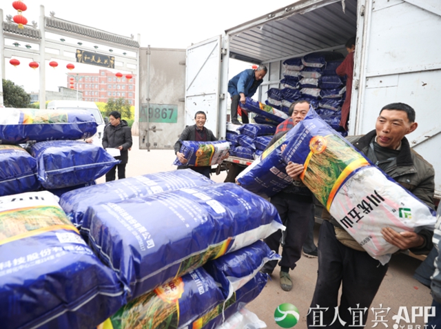 102吨!宜宾这个地方免费发大春粮食种子了!(图2) 102吨!宜宾这个地方免费发大春粮食种子了!(图2)