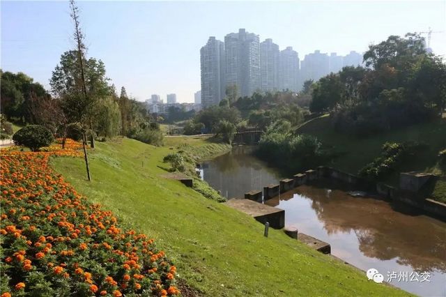 泸州赏花地点大汇总!快搭乘“春天的公交”出发!(附详细乘车线路)(图7) 泸州赏花地点大汇总!快搭乘“春天的公交”出发!(附详细乘车线路)(图7)