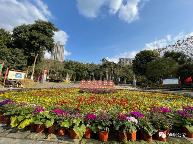 泸州赏花地点大汇总!快搭乘“春天的公交”出发!(附详细乘车线路)(图10) 泸州赏花地点大汇总!快搭乘“春天的公交”出发!(附详细乘车线路)(图10)