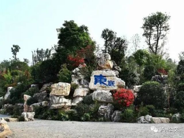 泸州赏花地点大汇总!快搭乘“春天的公交”出发!(附详细乘车线路)(图17) 泸州赏花地点大汇总!快搭乘“春天的公交”出发!(附详细乘车线路)(图17)
