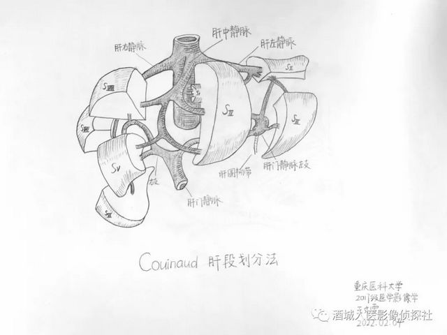 生命之美——医学影像科实习学生寒假作业等你来投票!!(图1) 生命之美——医学影像科实习学生寒假作业等你来投票!!(图1)