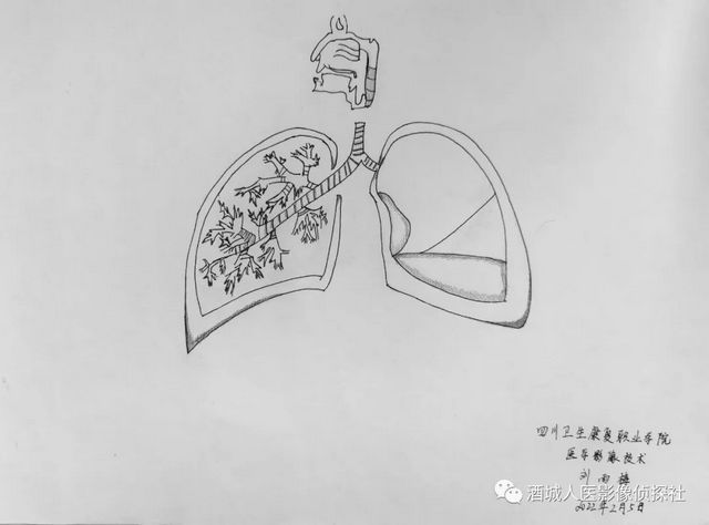 生命之美——医学影像科实习学生寒假作业等你来投票!!(图3) 生命之美——医学影像科实习学生寒假作业等你来投票!!(图3)