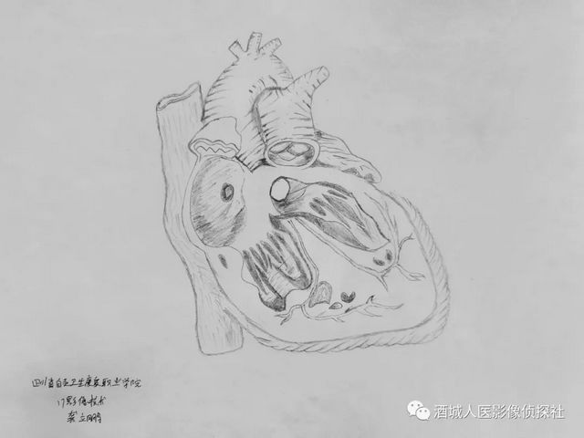 生命之美——医学影像科实习学生寒假作业等你来投票!!(图2) 生命之美——医学影像科实习学生寒假作业等你来投票!!(图2)