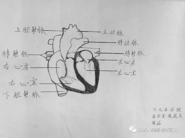 生命之美——医学影像科实习学生寒假作业等你来投票!!(图6) 生命之美——医学影像科实习学生寒假作业等你来投票!!(图6)