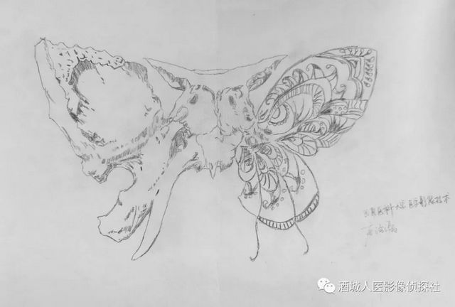 生命之美——医学影像科实习学生寒假作业等你来投票!!(图7) 生命之美——医学影像科实习学生寒假作业等你来投票!!(图7)