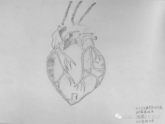 生命之美——医学影像科实习学生寒假作业等你来投票!!(图8) 生命之美——医学影像科实习学生寒假作业等你来投票!!(图8)