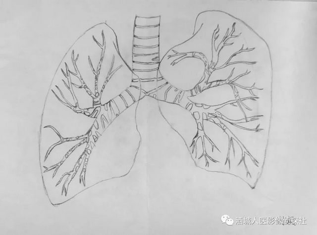 生命之美——医学影像科实习学生寒假作业等你来投票!!(图9) 生命之美——医学影像科实习学生寒假作业等你来投票!!(图9)