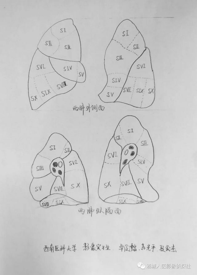 生命之美——医学影像科实习学生寒假作业等你来投票!!(图10) 生命之美——医学影像科实习学生寒假作业等你来投票!!(图10)
