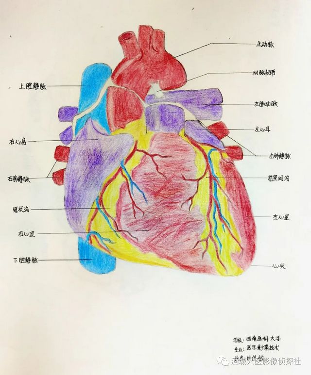 生命之美——医学影像科实习学生寒假作业等你来投票!!(图11) 生命之美——医学影像科实习学生寒假作业等你来投票!!(图11)