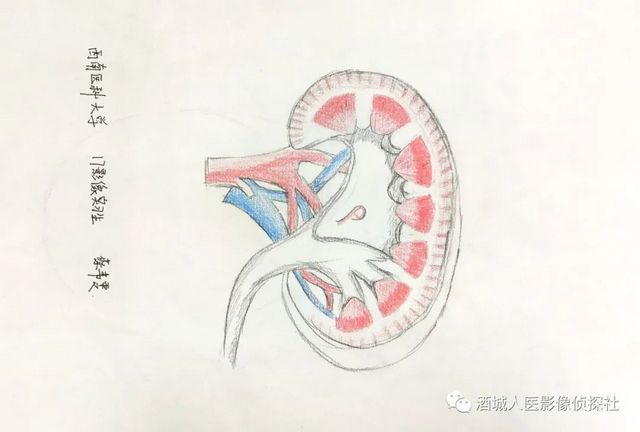 生命之美——医学影像科实习学生寒假作业等你来投票!!(图15) 生命之美——医学影像科实习学生寒假作业等你来投票!!(图15)