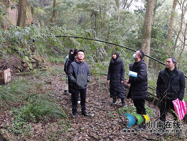 泸县自然资源和规划局组织踏勘玉蟾山大茅坪崩塌地灾点
