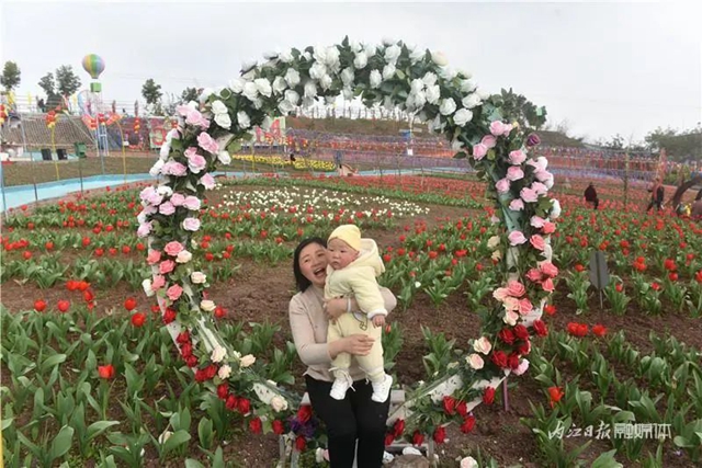 130万株郁金香盛放，内江这个地方成了一片花海！(图6)
