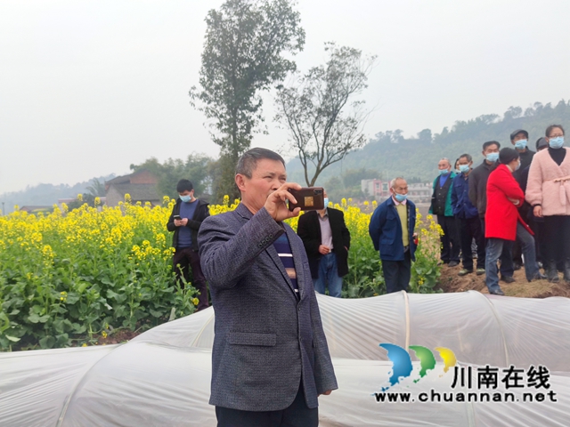 “东翼”泸县粮油种植核心区酿酒高粱育秧现场会在百和镇召开