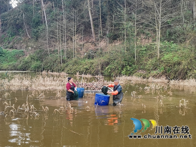 泸县方洞镇贾定海：从贫困户到虾大王