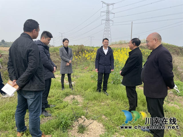泸县云龙镇主要领导带队调研农业特色产业发展工作