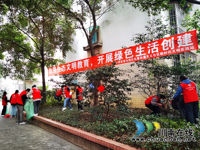 龙马潭区红星街道开展“志愿有我·一起向未来”志愿服务活动