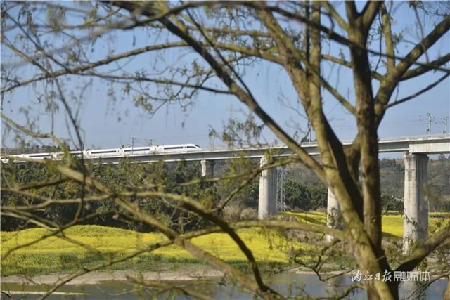 告内江市民：乘上这路列车，你就能进入一个“梦幻境界”(图5)