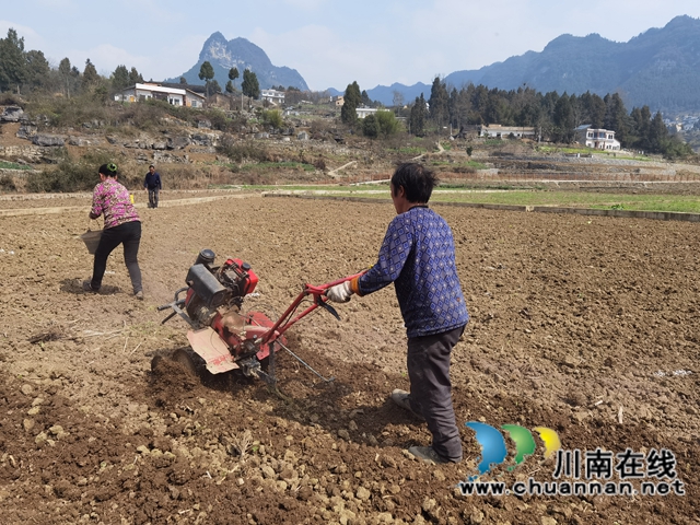 古蔺县双沙镇：草长莺飞季，春耕正当时