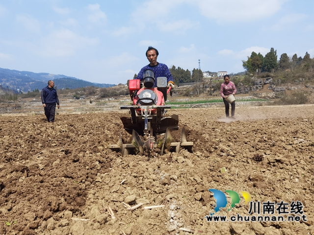 古蔺县双沙镇：草长莺飞季，春耕正当时(图3)